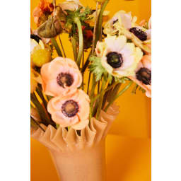 3. Vas Lori