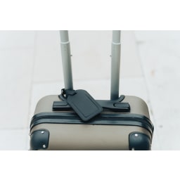 4. Globefind RCS bagagetagg, kan spåras i alla länder