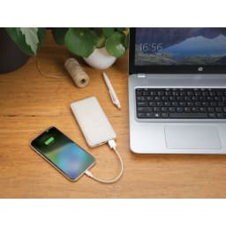 4. Vetestrå 10.000 mAh powerbank
