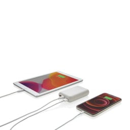 3. Urban Vitamin Alameda 10.000 mAh 18W PD powerbank
