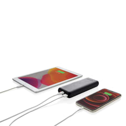 2. Urban Vitamin Pasadena 20.000 mAh 18W PD powerbank