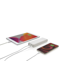 3. Urban Vitamin Pasadena 20.000 mAh 18W PD powerbank