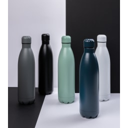 4. Vakuumflaska i stainless steel 750ml