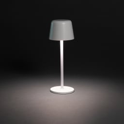 3. Zenic RCS återvunnen plast USB laddningsbar bordslampa