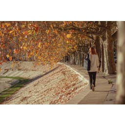 6. Bobby Bizz 2.0 stöldskyddad ryggsäck & laptopväska