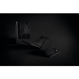 6. Swiss Peak RFID anti-skimming passfodral