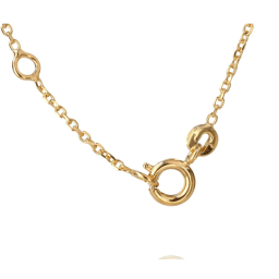 1. Classic Petite Necklace