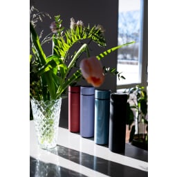 1. Termos med display 50 cl