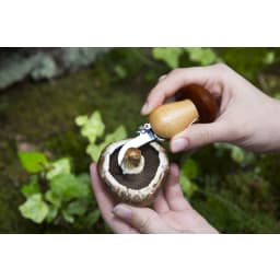 2. MUSHROOM TOOL KEYCHAIN