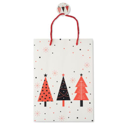 2. Presentpapperspåse stor