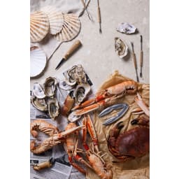 1. Story of seafood