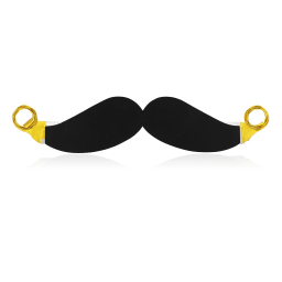 1. PARTYFLÄRPA MUSTASCH