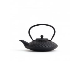 0. Shibata Teapot