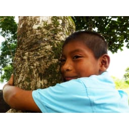 3. Trädplantering i Panama