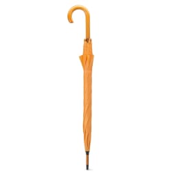 1. Paraply