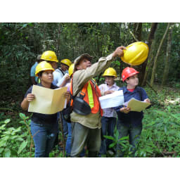 4. Trädplantering i Panama