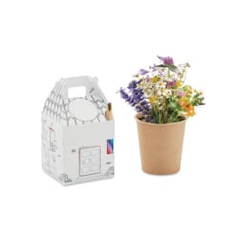 1. Husformat odlingsset med frön