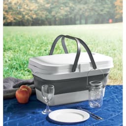 3. Hopfällbar picknickkorg