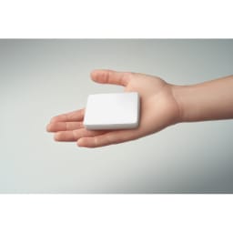 2. 5000mAh Powerbank