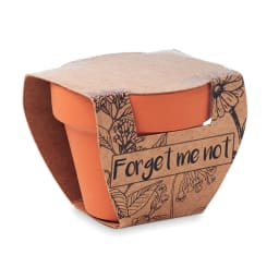 2. Terracotta skål 'forget me not'