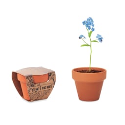 0. Terracotta skål 'forget me not'