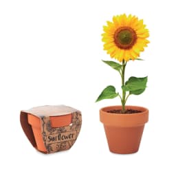 0. Terracotta skål 'sunflower'