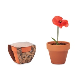 0. Terracotta skål 'poppy'