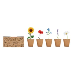 4. Odlingssats för blommor