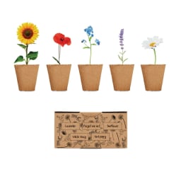0. Odlingssats för blommor