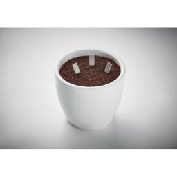 3. Stickor för örtfrön