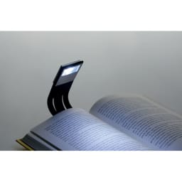 2. Boklampa