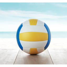 2. Volleyboll