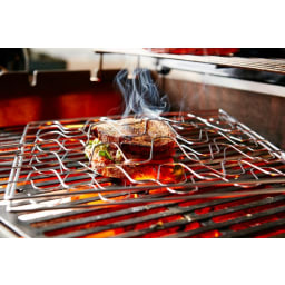 10. Flex Grillhalster