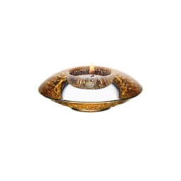 1. Discus small gold 2-pack