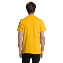 1. SPRING II HERR Pique 210g