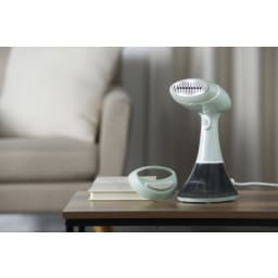 1. Handsteamer, Steam Genie Essentials