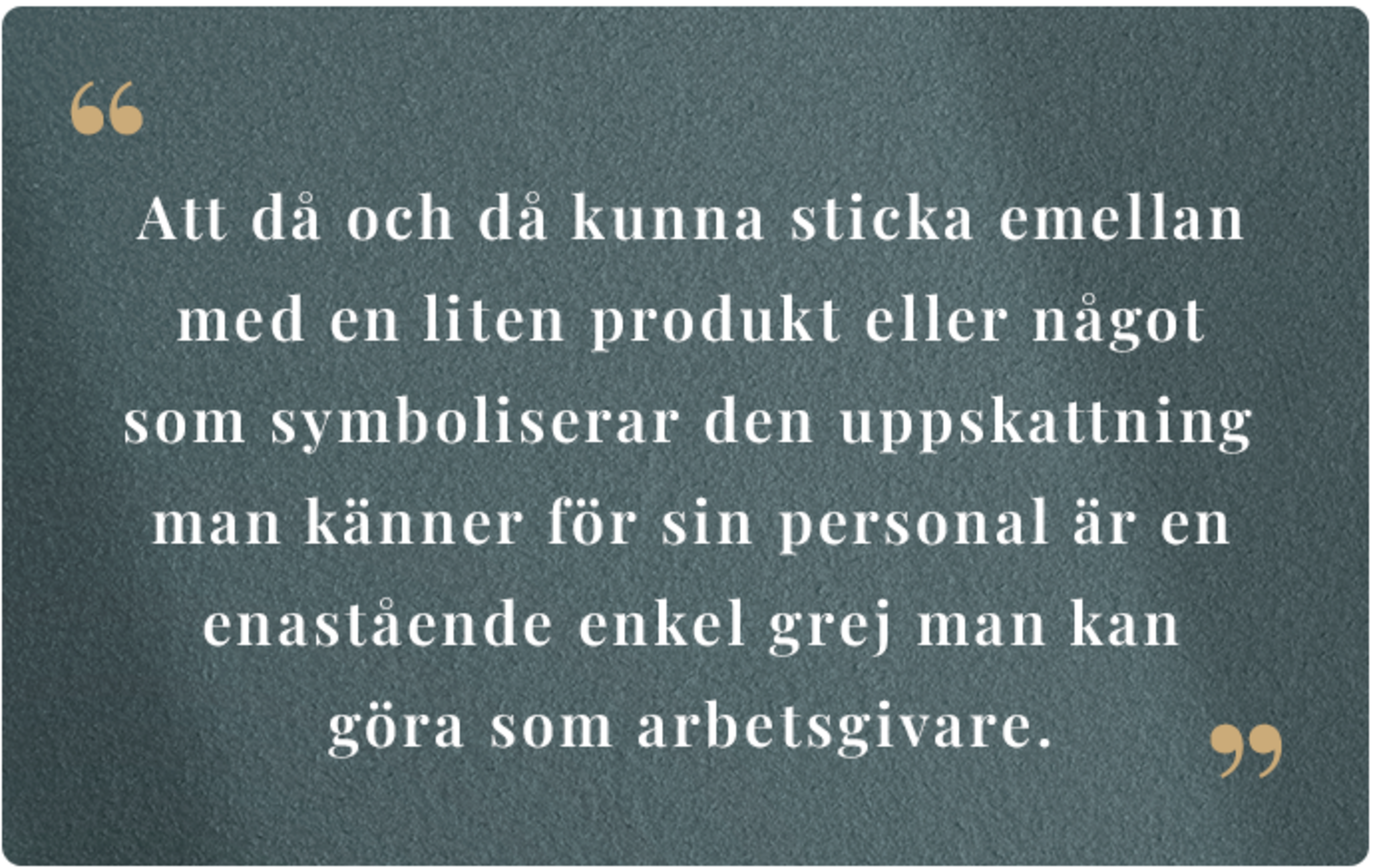 Citat från Emma Pihl, VD och grundare Swedish Posture.