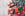 Populära julklappar till anställda 2024 - 7 tips