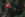 Årets charmigaste julklapp 2022