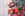 Populära julklappar till anställda 2024 - 7 tips
