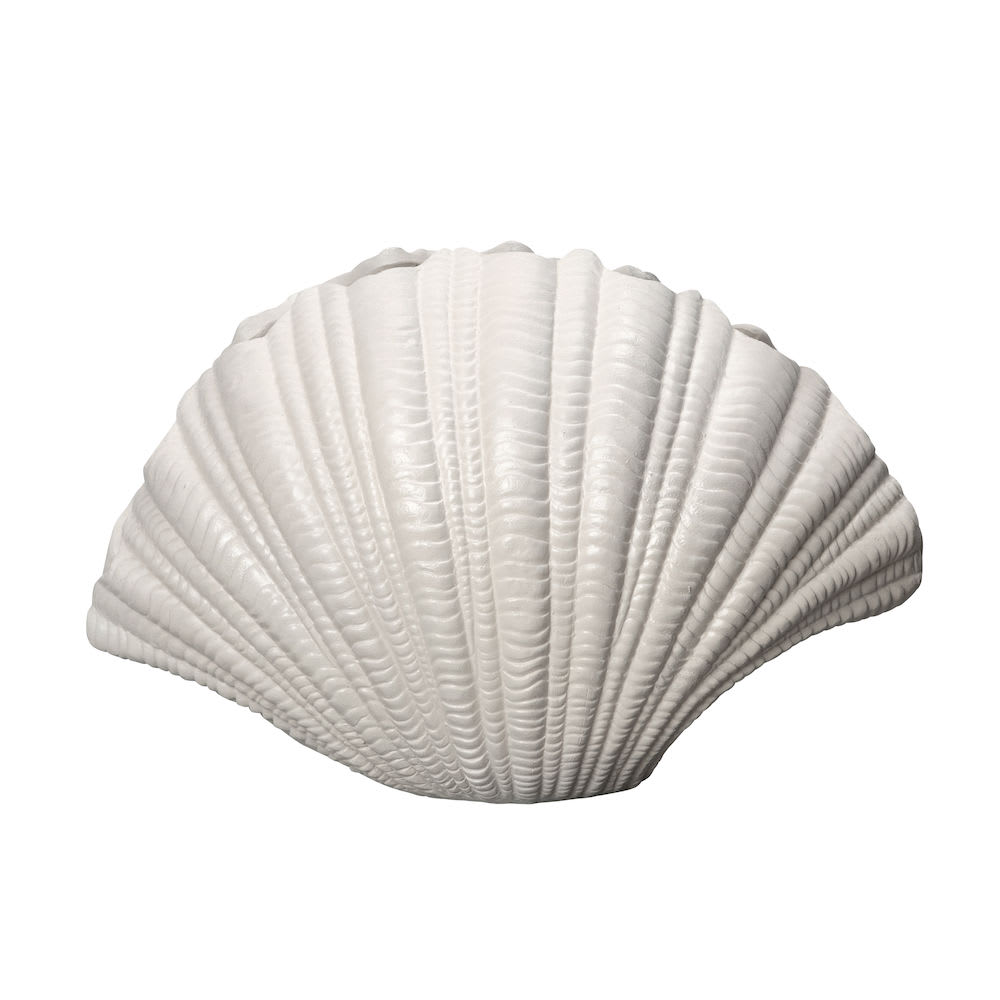 Vase Shell 