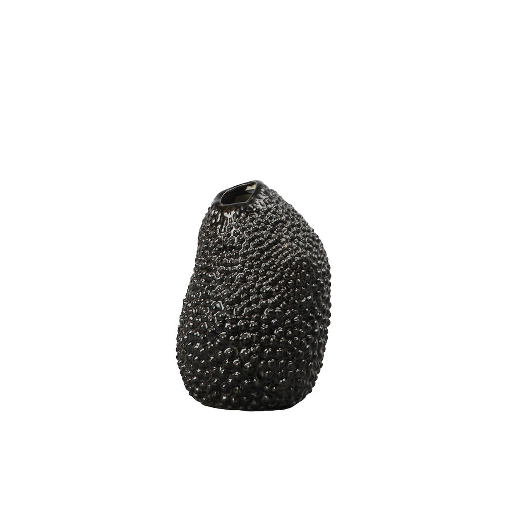 Vase Caulerpa S