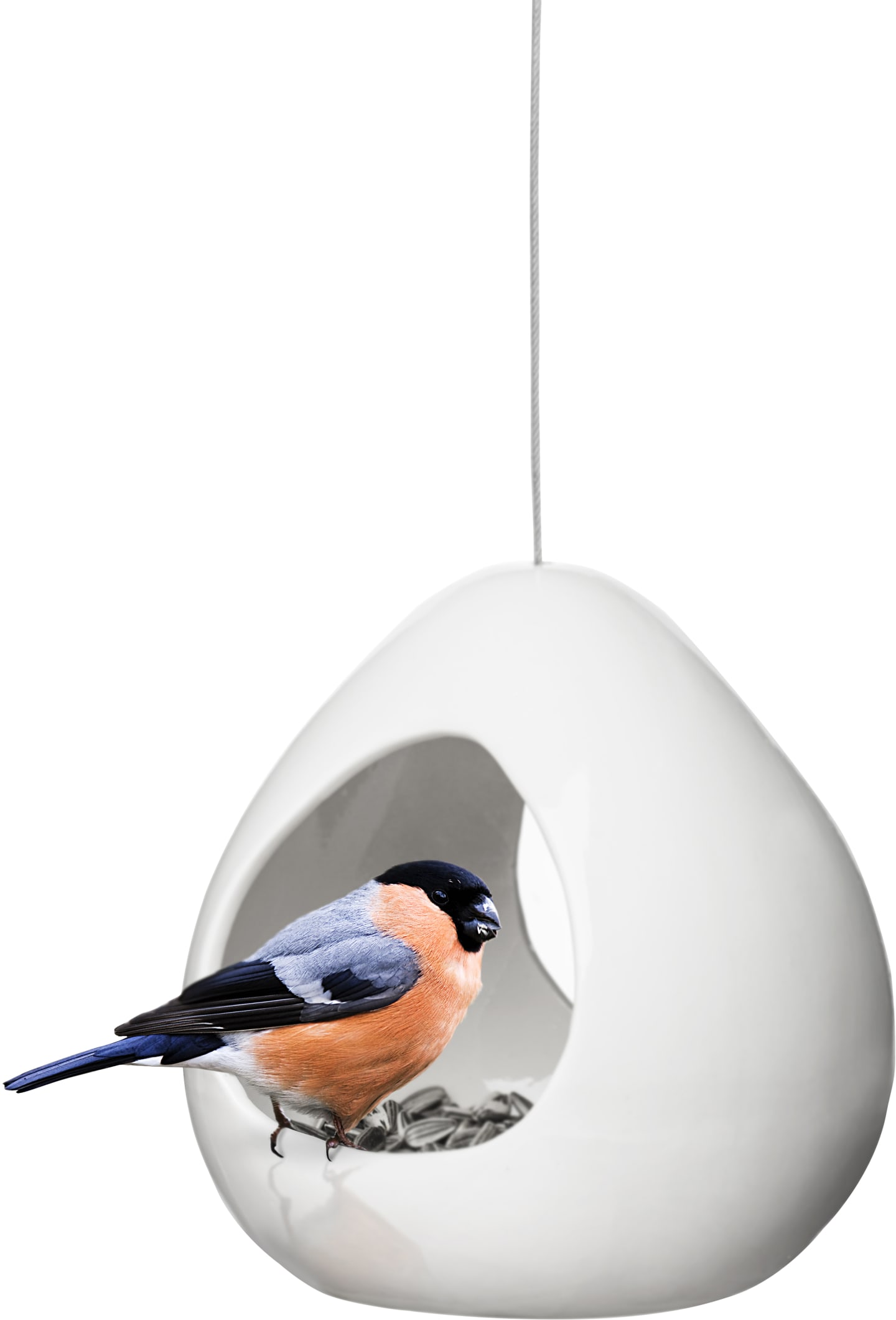 Birdy fågelmatare
