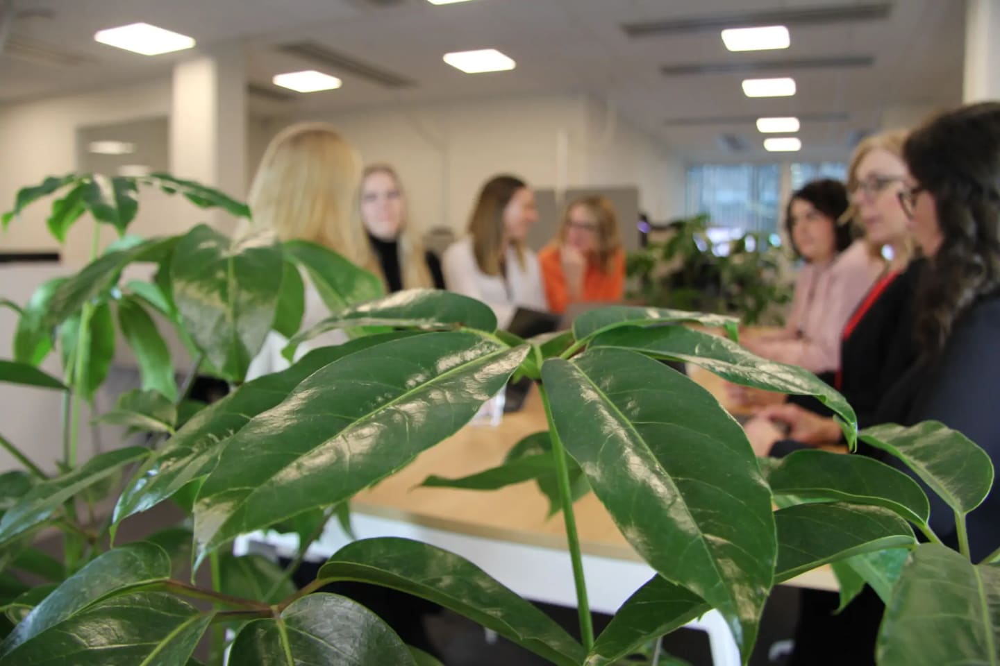 Tina Bergdahl, HR-ansvarig och DPO på B2B IT-Partner: “Att visa uppskattning är grunden i en välmående företagskultur.”