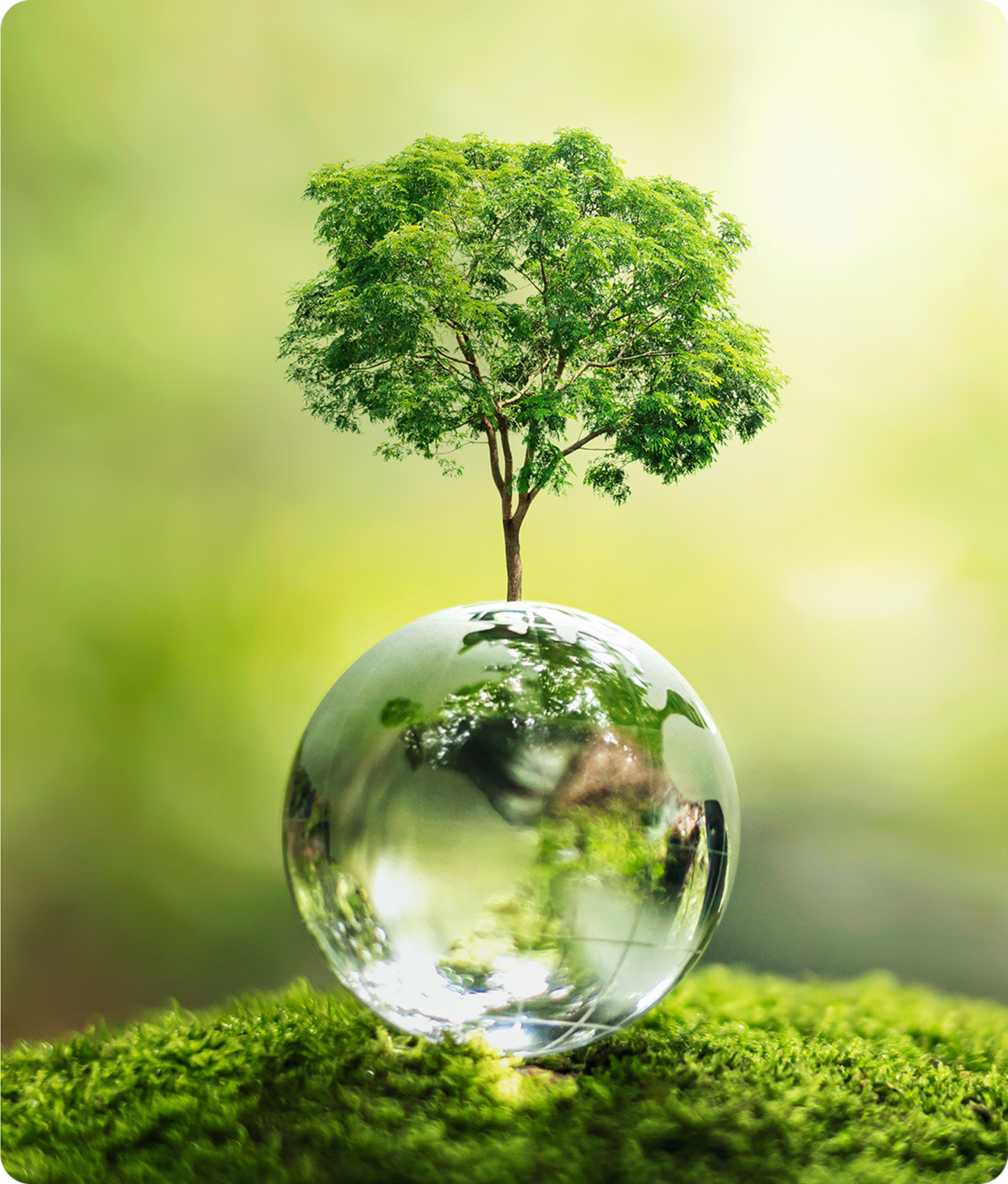 Charmas hållbarhetsarbete