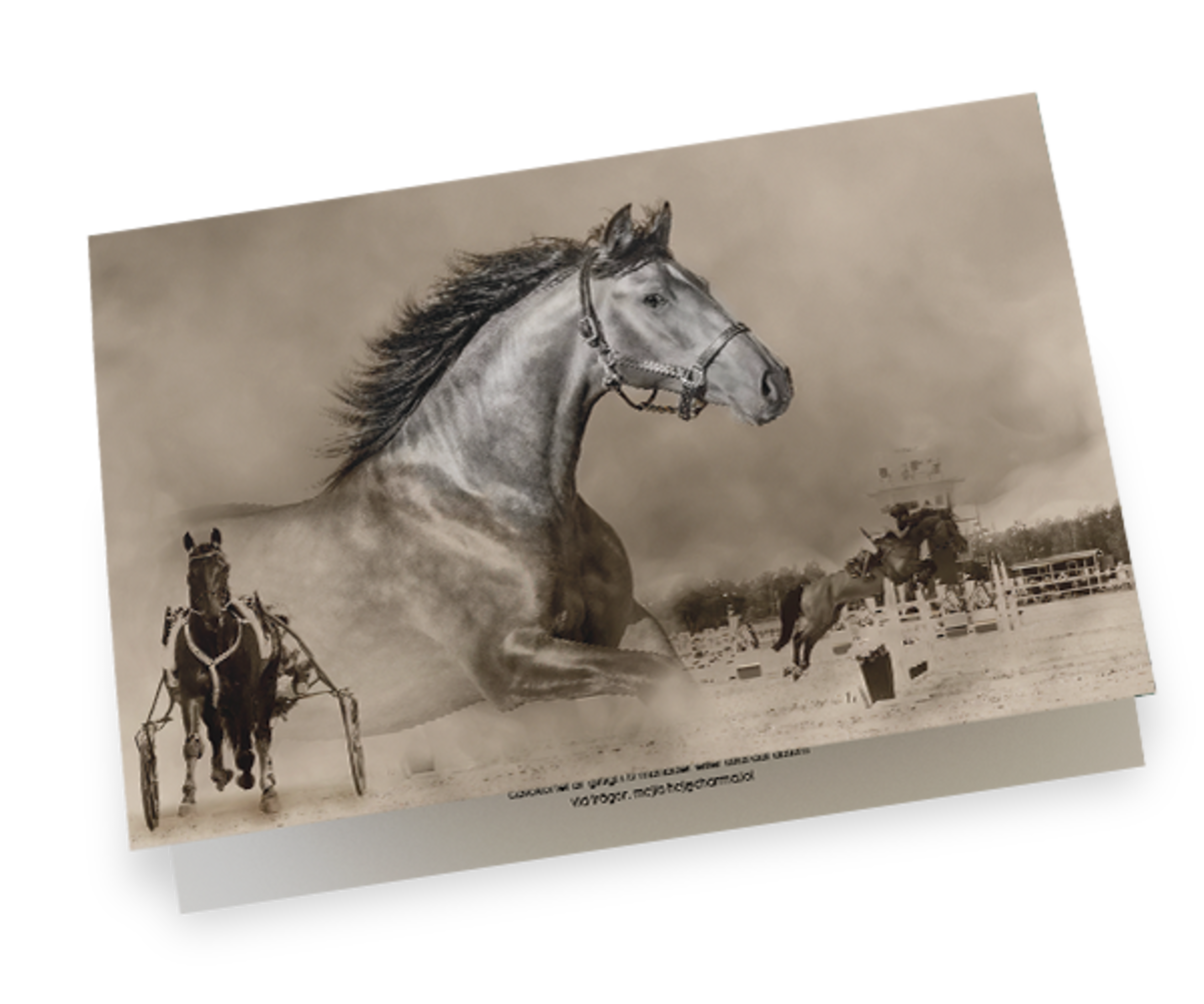 Daniel Wellington logotyp