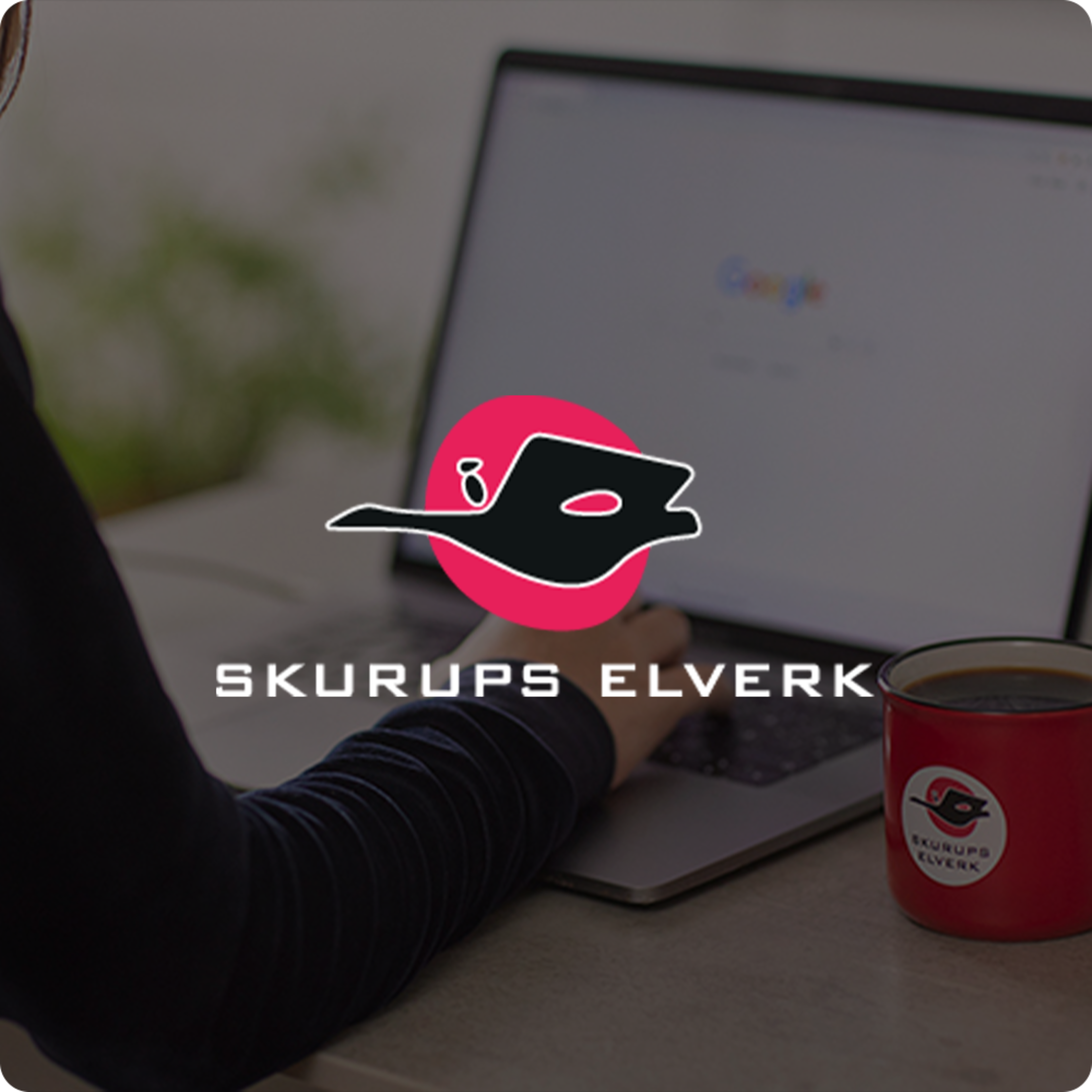 susan-birger-uppskattning