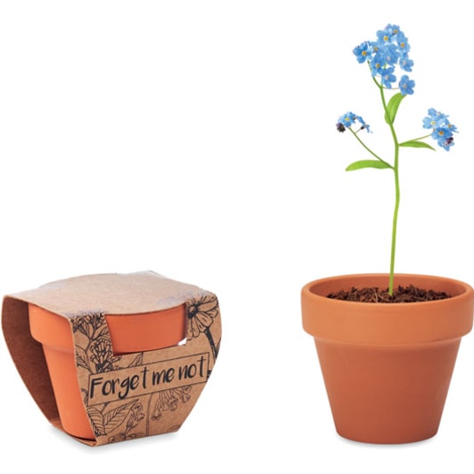 Terracotta skål 'forget me not' med logotyp, Företagsgåvor